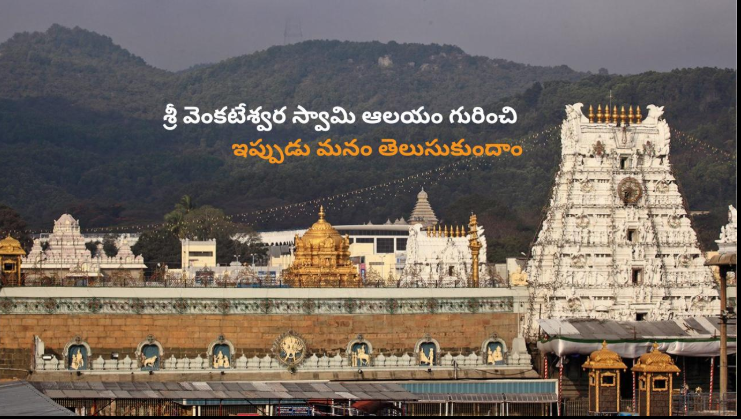 Tirumala Tirupati Temple Guide 2026 – Darshan Timings, Rooms, Route & Hotels